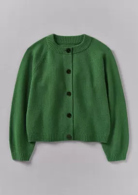 Eden Wool Cashmere Raglan Cardigan | Mineral Green